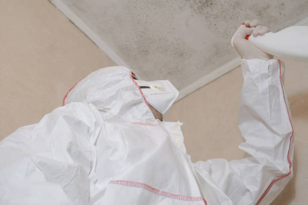 Crawl Space Mold Removal in Pataskala, OH